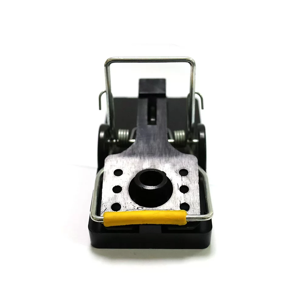 Effective Mouse Snap Traps for House