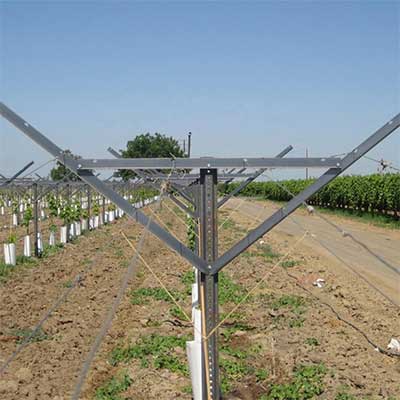 TRELLISING SOLUTIONS factory