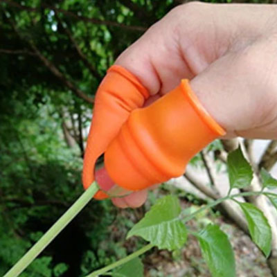 vegetable picking tools