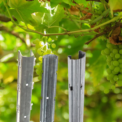 Vineyard Posts And Accessories supplier