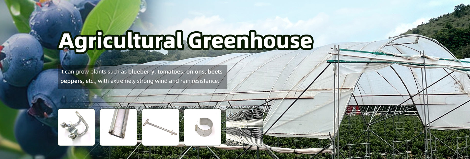 greenhouse kits