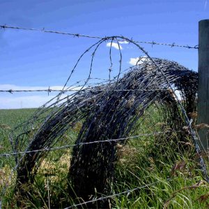 barbed wire