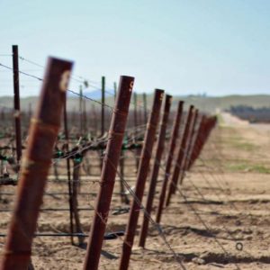 Steel end post for vineyard