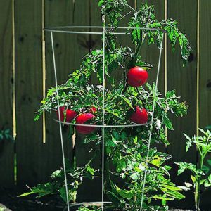 tomato-cage