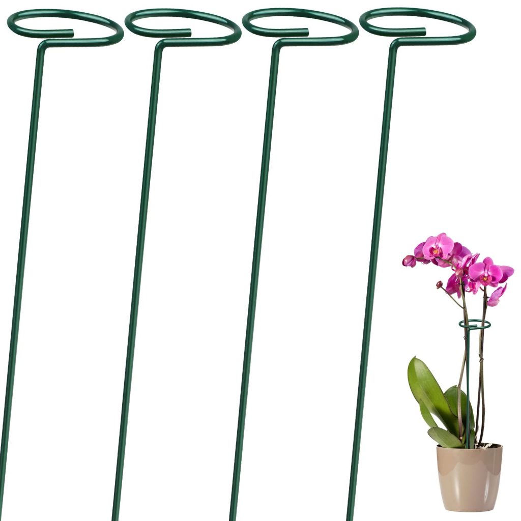 single stem plant support