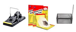 mouse traps,mouse&rat glue trap,mouse&rat trap cage