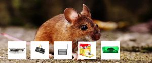 anti mouse control product