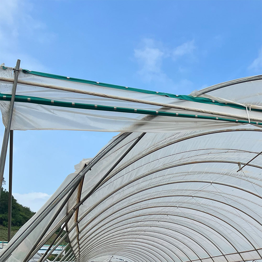 Horizontal top post