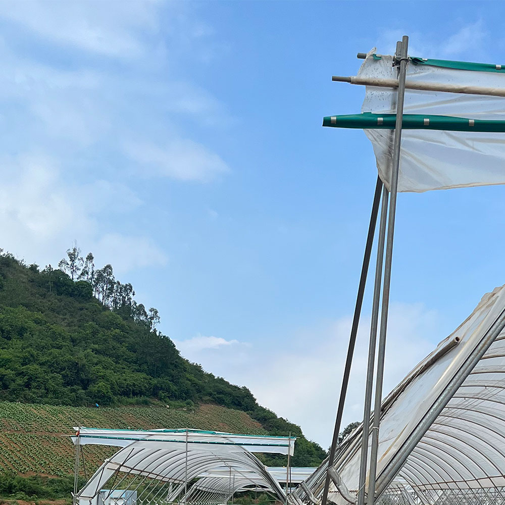 Vertical Stand post
