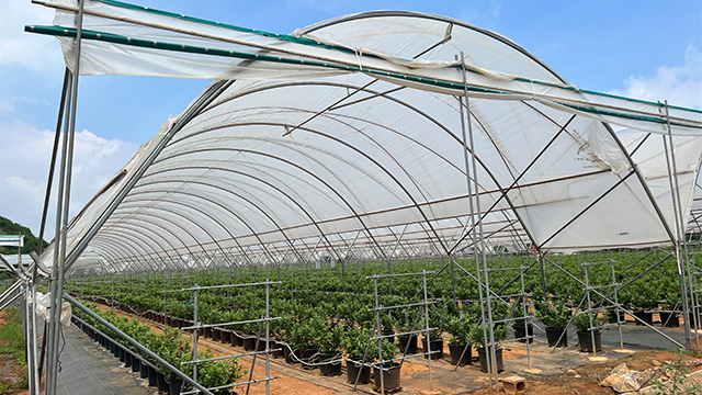 greenhouse frame