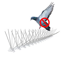 bird spike